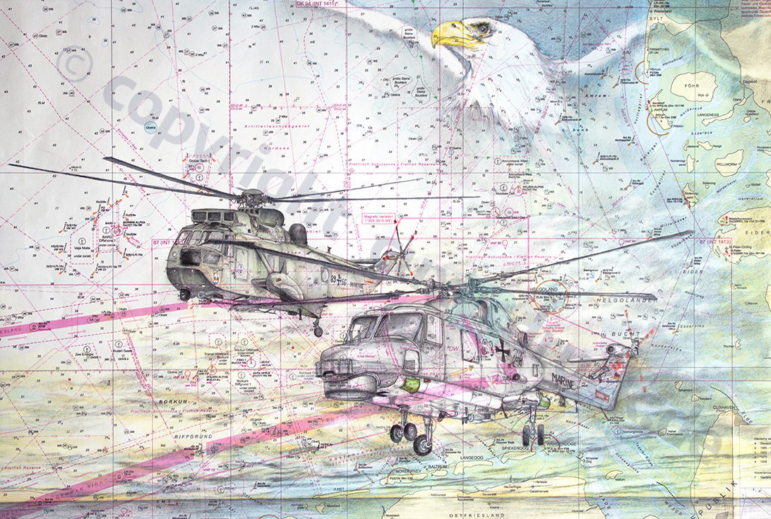 Adler über Sea King & Lynx