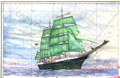 Alexander von Humboldt IV