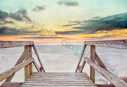 Amrum 1