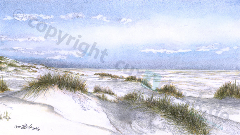 Amrum – Dünenkamm