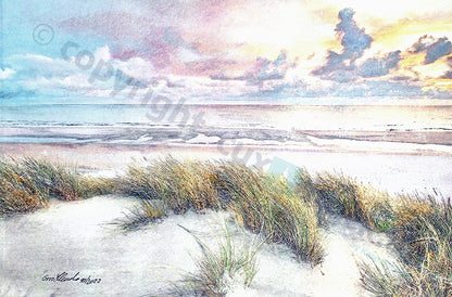 Amrum - Blick aufs Meer