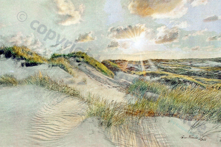 Amrum - In den Dünen