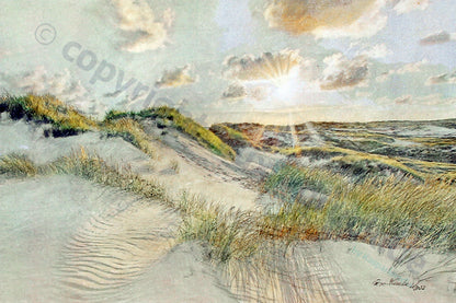 Amrum - In den Dünen