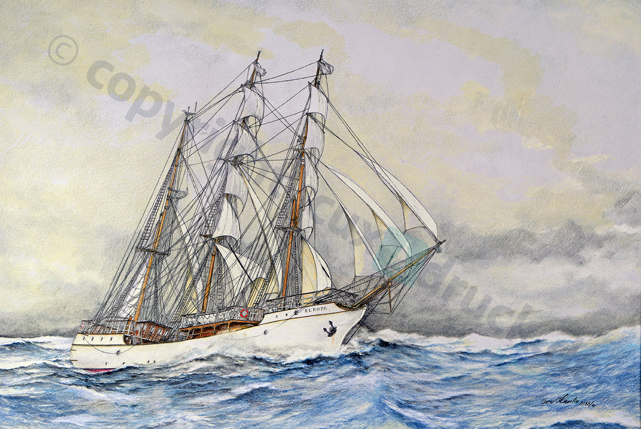 Bark EUROPA