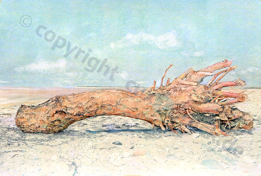 Baumstumpf am Strand