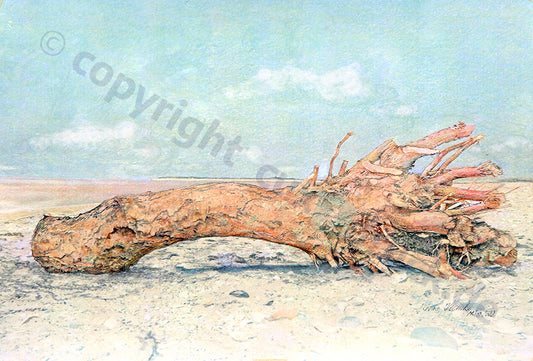 Baumstumpf am Strand – Kunstdruck von Gero Klemke