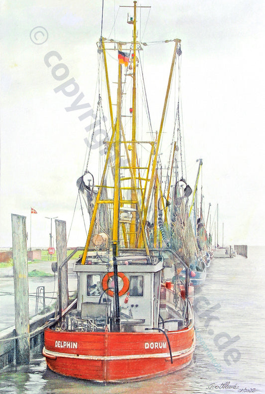 Krabbenkutter „Delphin“ im Kutterhafen Dorum II – Kunstdruck von Gero Klemke