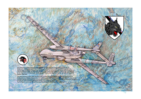Heron I – Aufklärungsdrohne mit Einheitsbezug – Kunstdruck von Gero Klemke