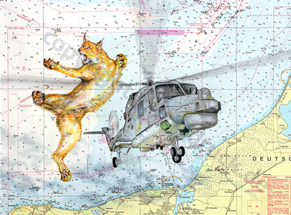 Luchs und Helikopter Lynx