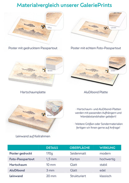 Sea Lynx Last Flight | Motiv 6 von 6 | MFG 5 Nordholz