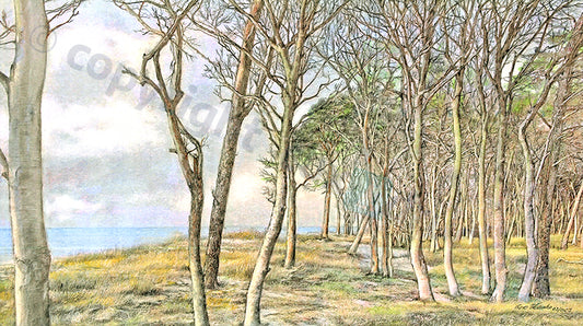 Ostseeküste – Kunstdruck von Gero Klemke