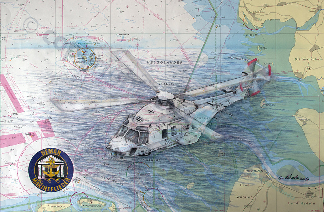 Sea Lion über der Nordsee