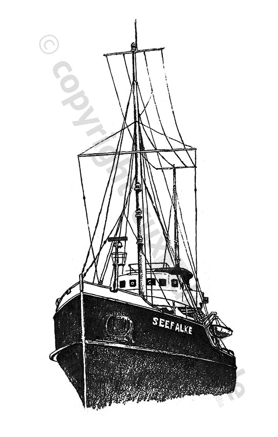 SW Seefalke