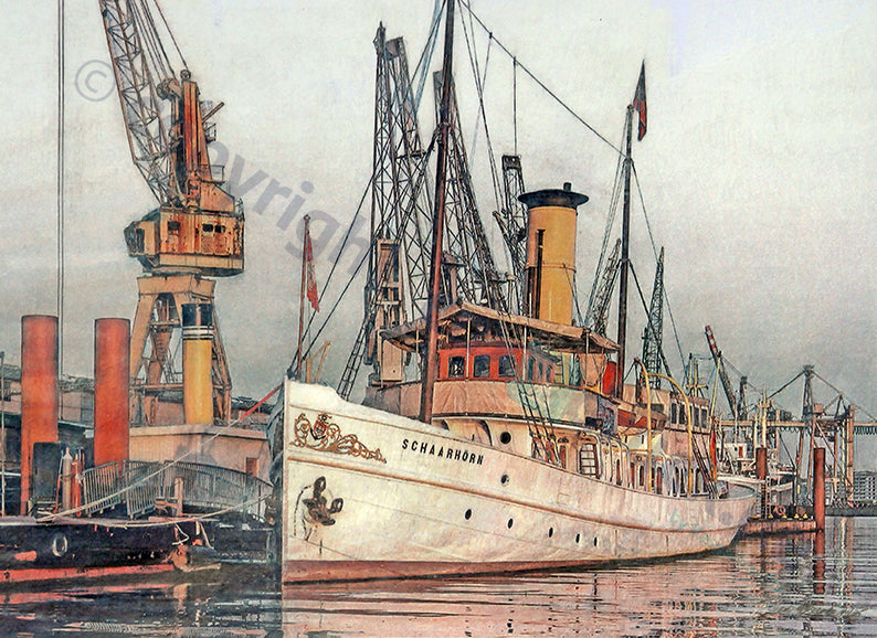 Schaarhörn fest im Hafen