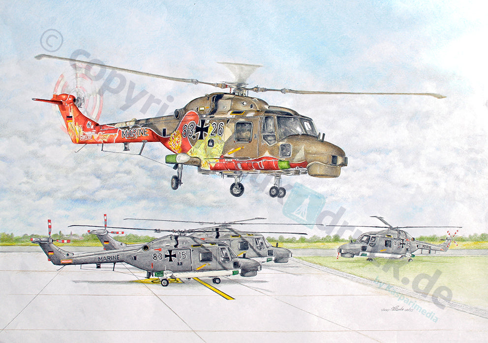 40 Jahre Sea Lynx (Sonderlackierung)